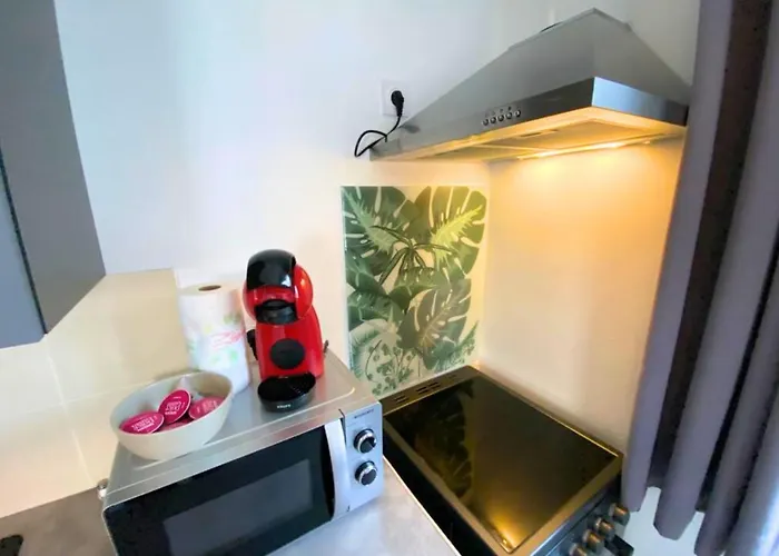 Apartment Chez Aida-centre Poitiers-la Conciergerie. *